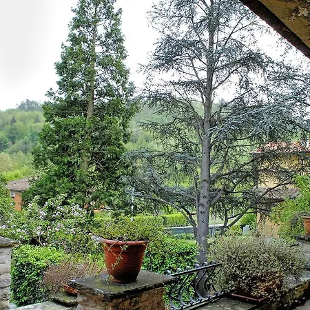 Piave * Vicchio